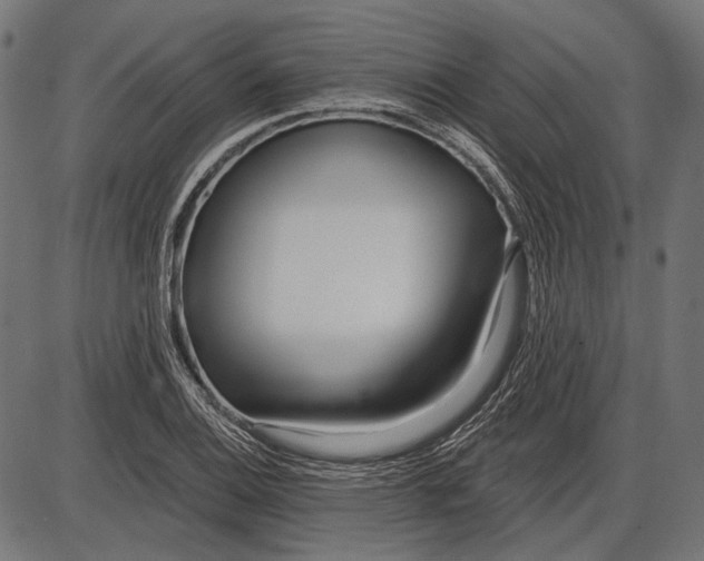 X0000086071124200704091228