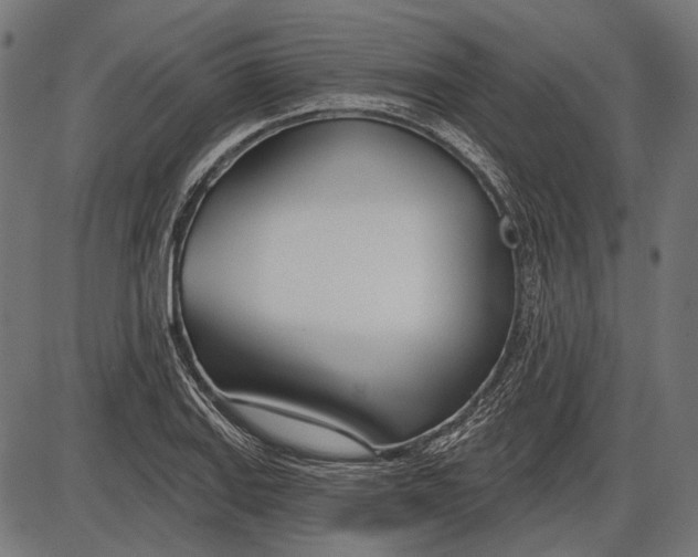 X0000086071127200704091228