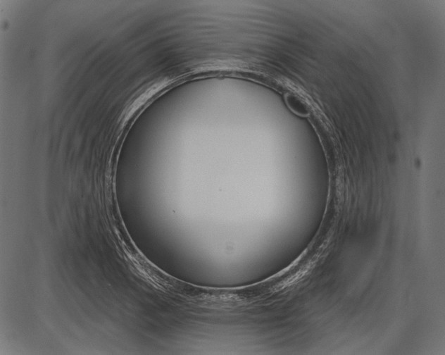 X0000086071129200704091228