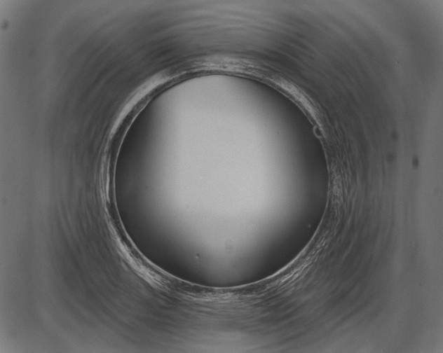 X0000086071131200704091228