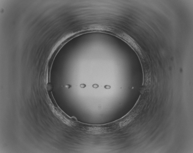 X0000086071132200704091228