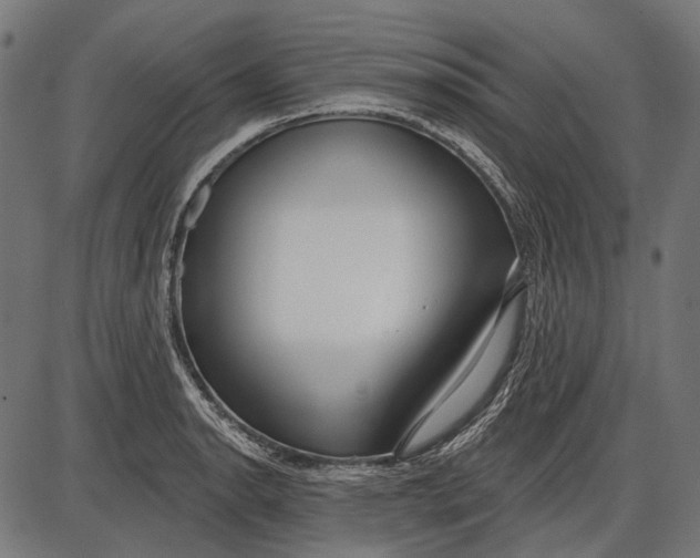 X0000086071134200704091228