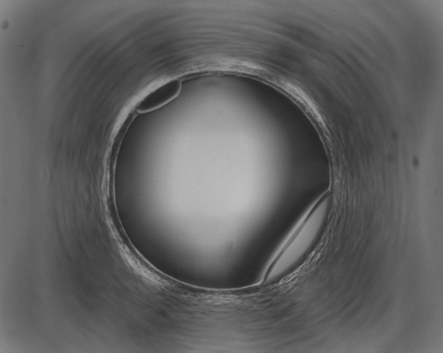 X0000086071136200704091228