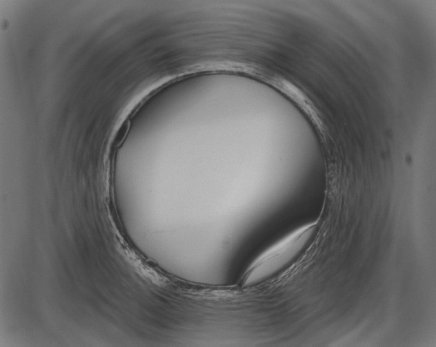 X0000086071140200704091228