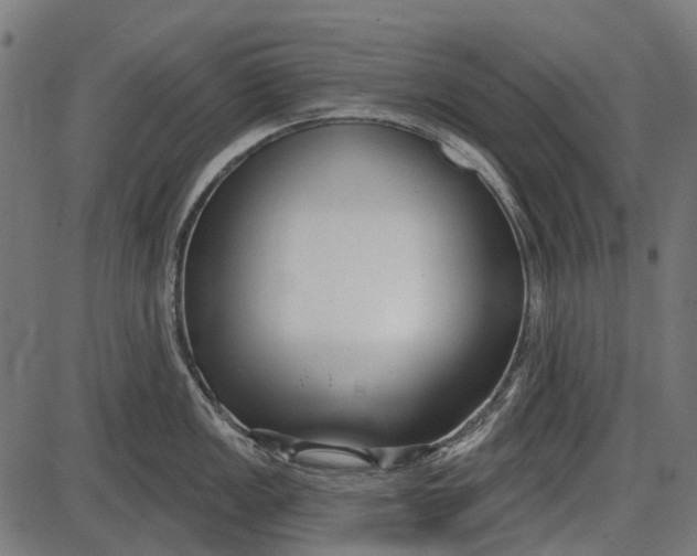 X0000086071149200704091229