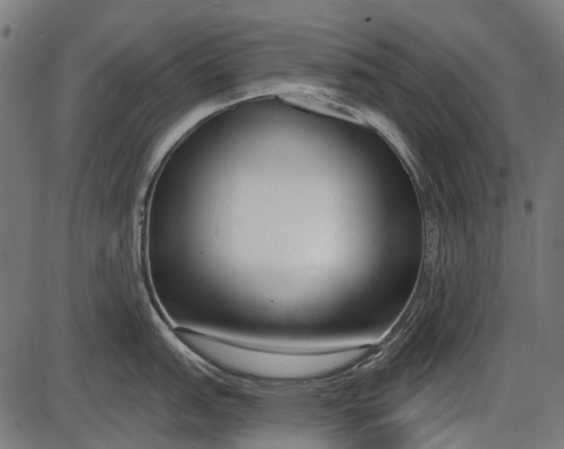 X0000086071151200704091229