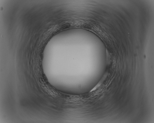 X0000086071153200704091228