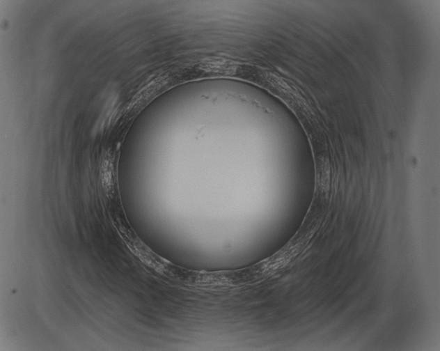 X0000086071154200704091228