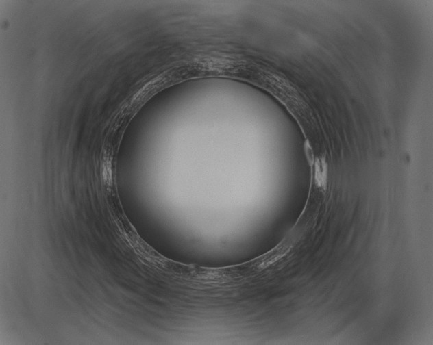 X0000086071155200704091228