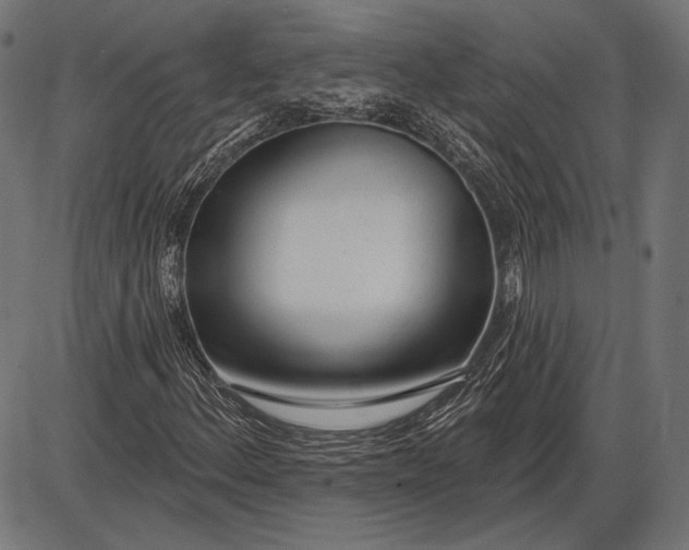 X0000086071156200704091228