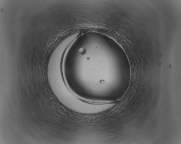 X0000086071157200704091228