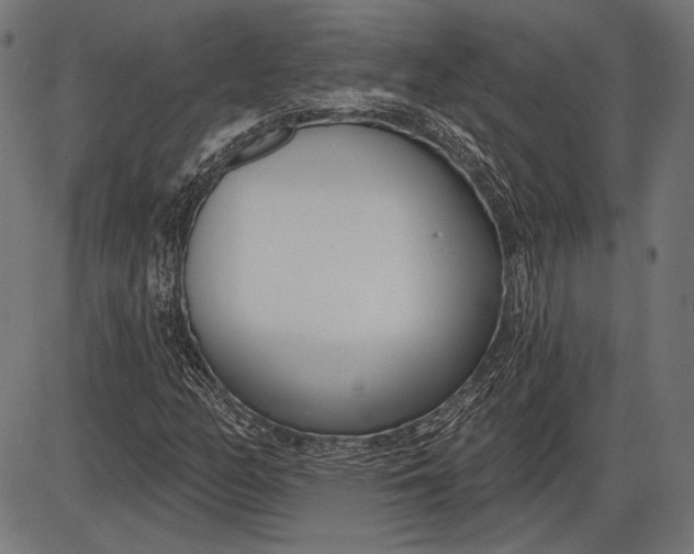 X0000086071158200704091228