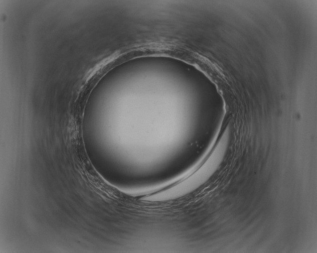 X0000086071160200704091228
