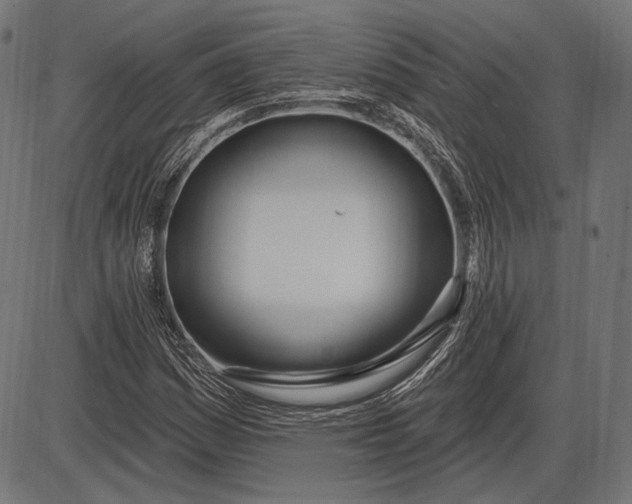 X0000086071161200704091228