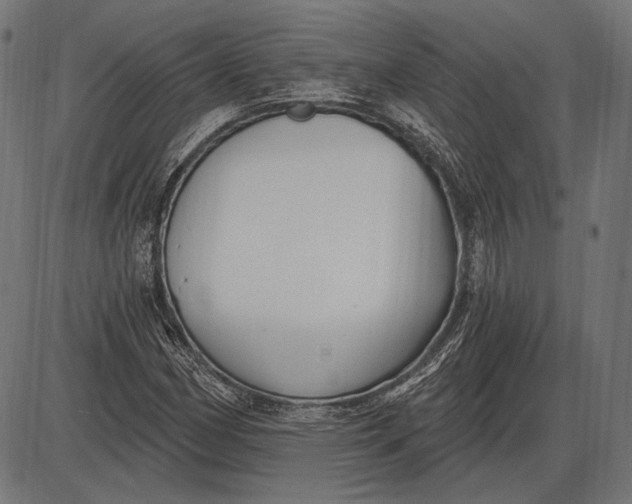 X0000086071162200704091228