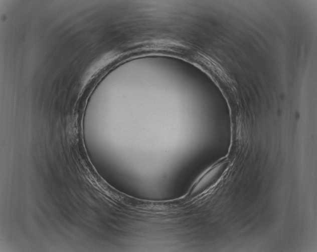 X0000086071164200704091228