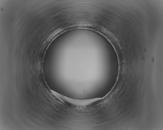 X0000086071169200704091228