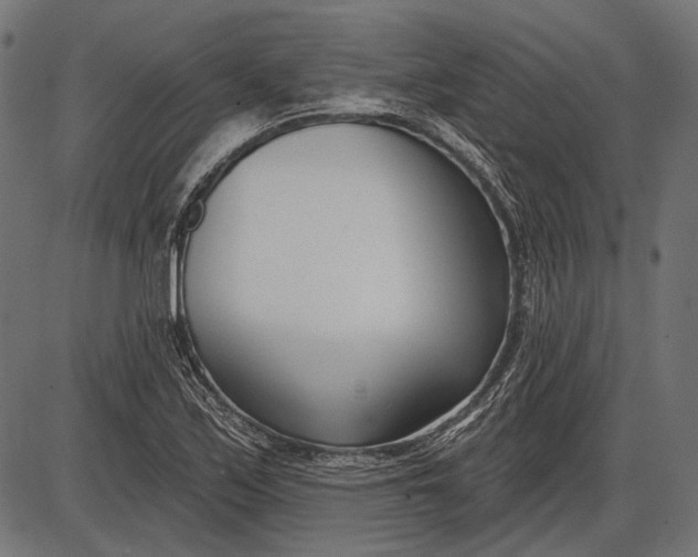 X0000086071171200704091228