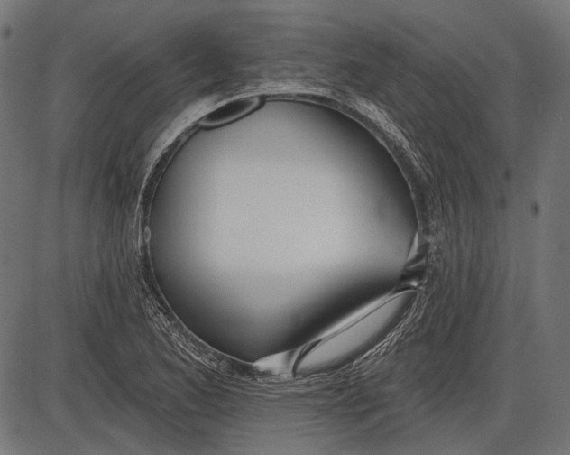 X0000086071173200704091228