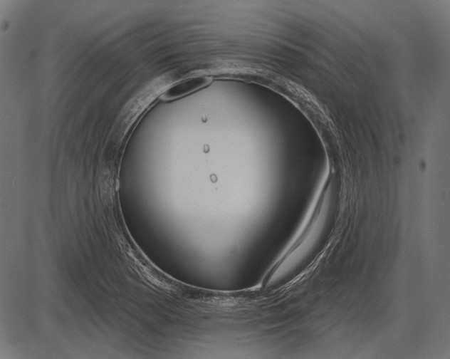 X0000086071177200704091227