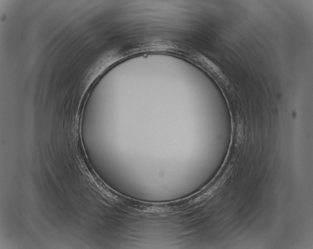 X0000086071178200704091227