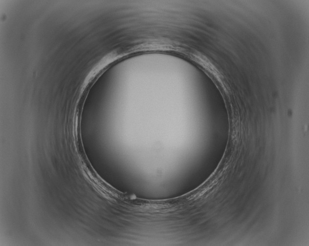 X0000086071179200704091227