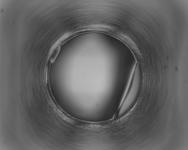 X0000086071180200704091227