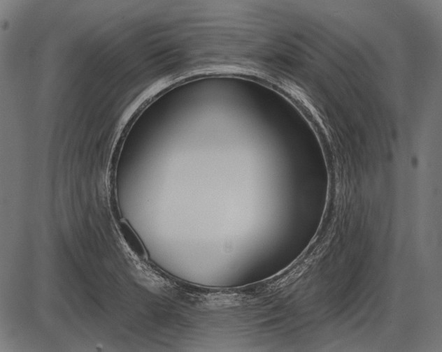 X0000086071181200704091227