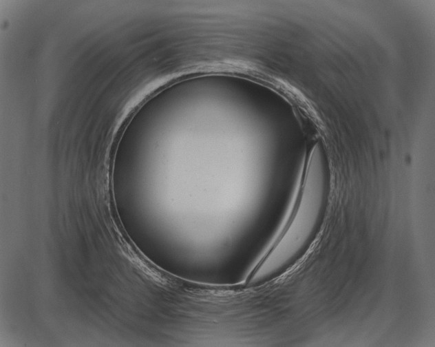 X0000086071184200704091227