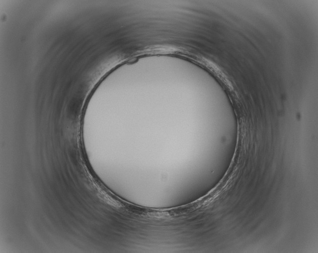 X0000086071186200704091227