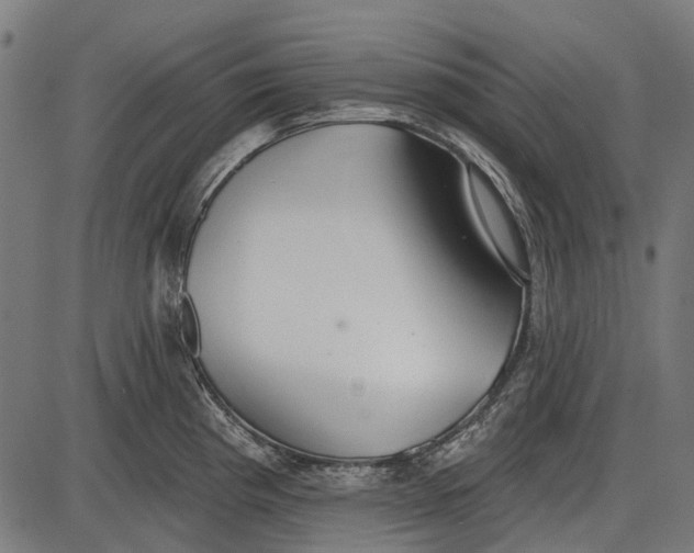 X0000086071193200704091227