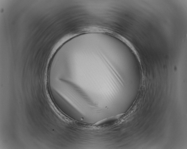 X0000086071195200704091227
