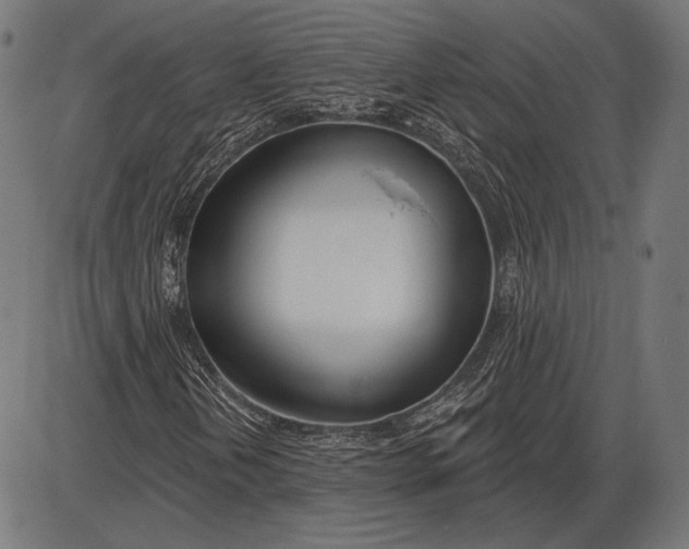 X0000086071202200704091226