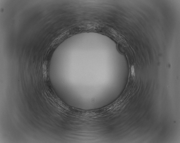 X0000086071203200704091226