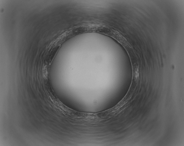 X0000086071204200704091226