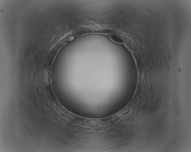 X0000086071205200704091226