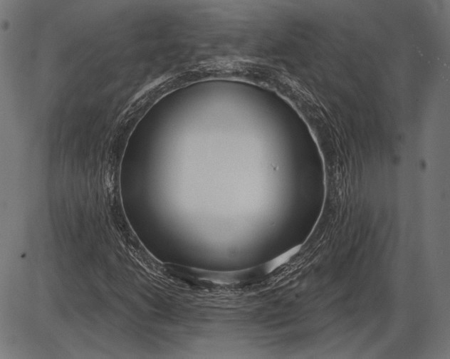 X0000086071206200704091226