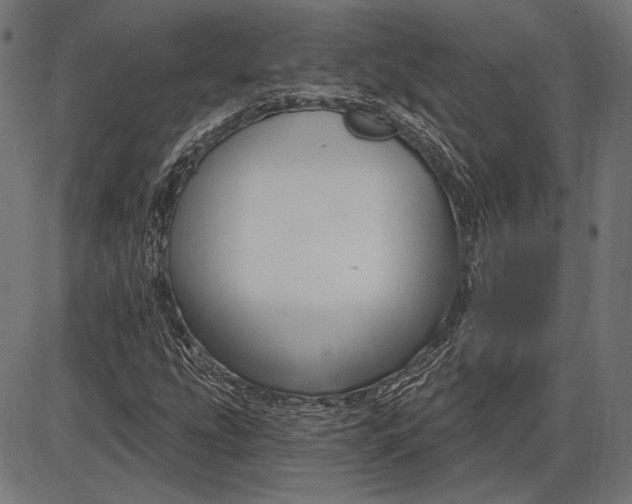 X0000086071207200704091226