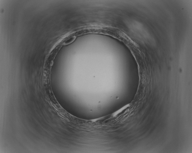 X0000086071208200704091226
