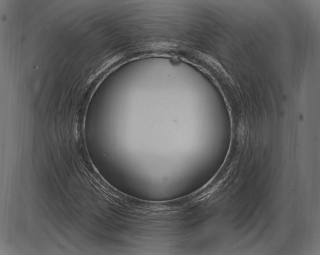 X0000086071209200704091226
