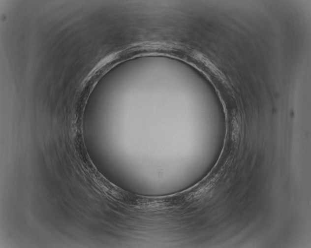 X0000086071213200704091226