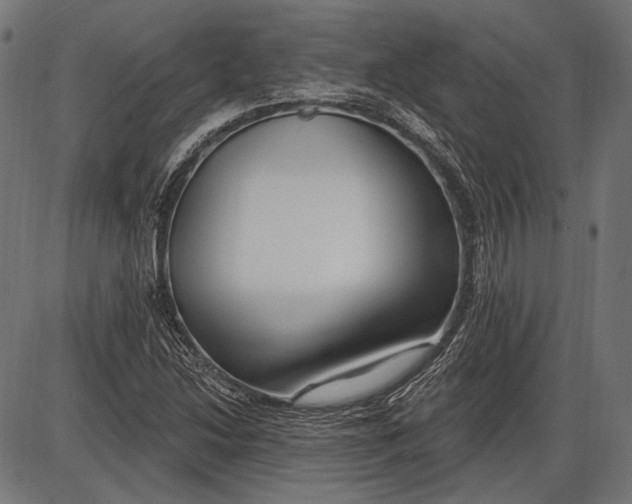 X0000086071214200704091226