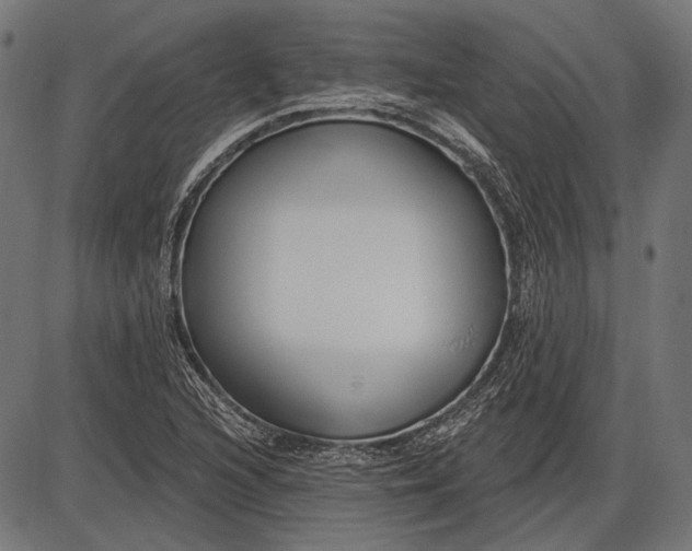 X0000086071216200704091227