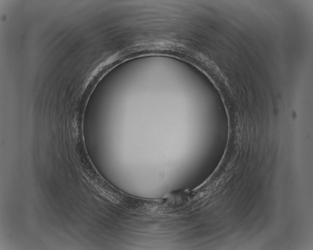 X0000086071218200704091227