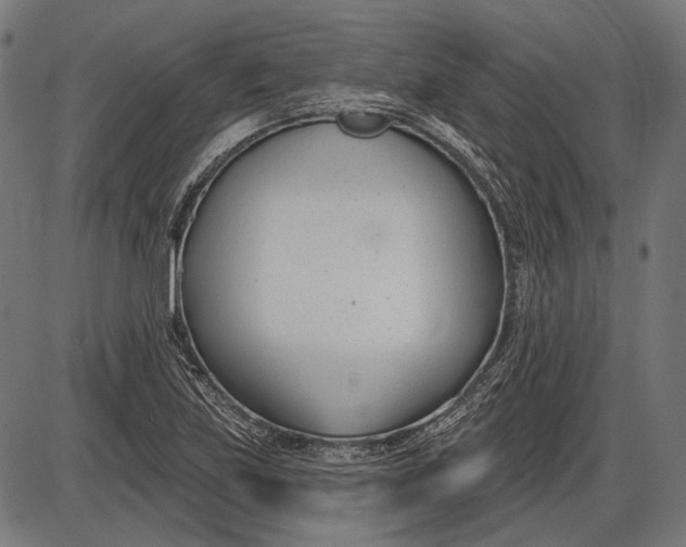 X0000086071219200704091227