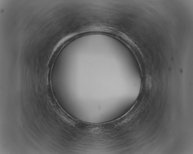 X0000086071222200704091227