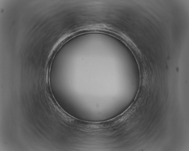 X0000086071224200704091227