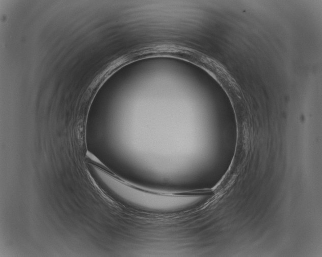 X0000086071225200704091227