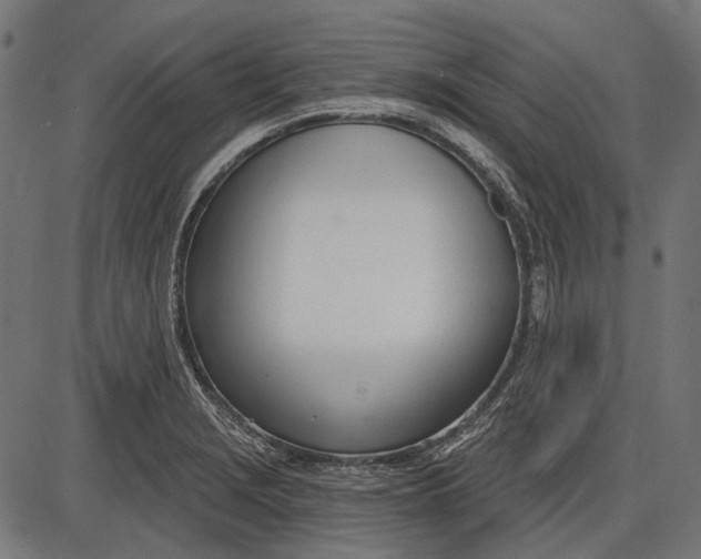 X0000086071229200704091227