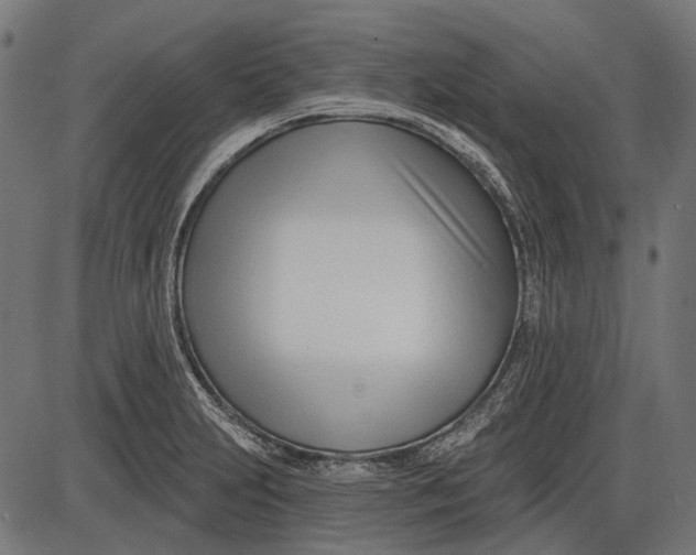 X0000086071231200704091227